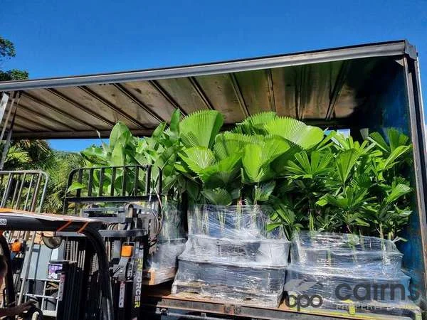 Additional image 37 of 15 Ross Road, Deeral QLD 4871