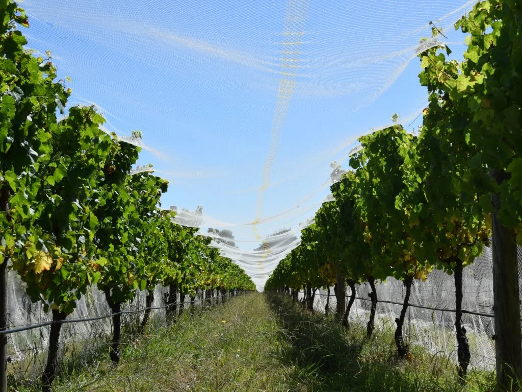 Additional image 14 of Harrisons Road, Dromana VIC 3936