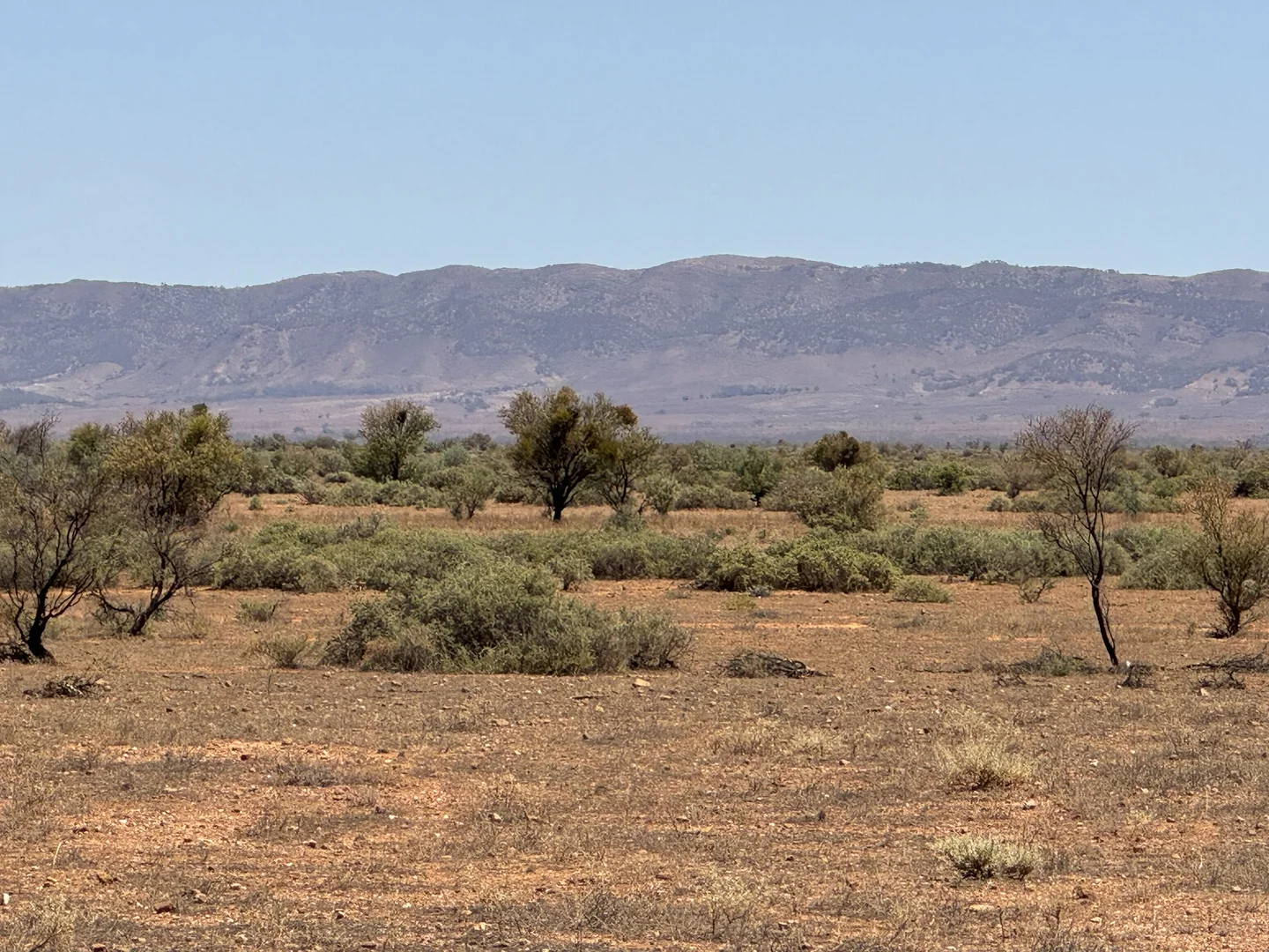 Additional image 16 of Minburra/Lynch Road, Minburra SA 5431