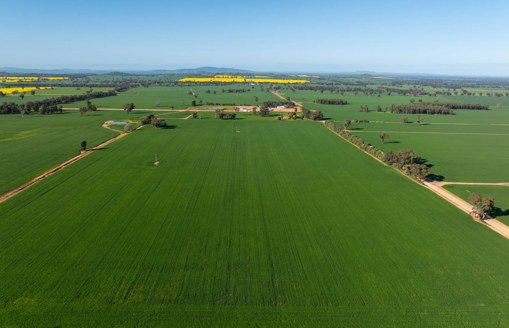 Additional image 22 of 484 Merri Meric Road, Henty NSW 2658