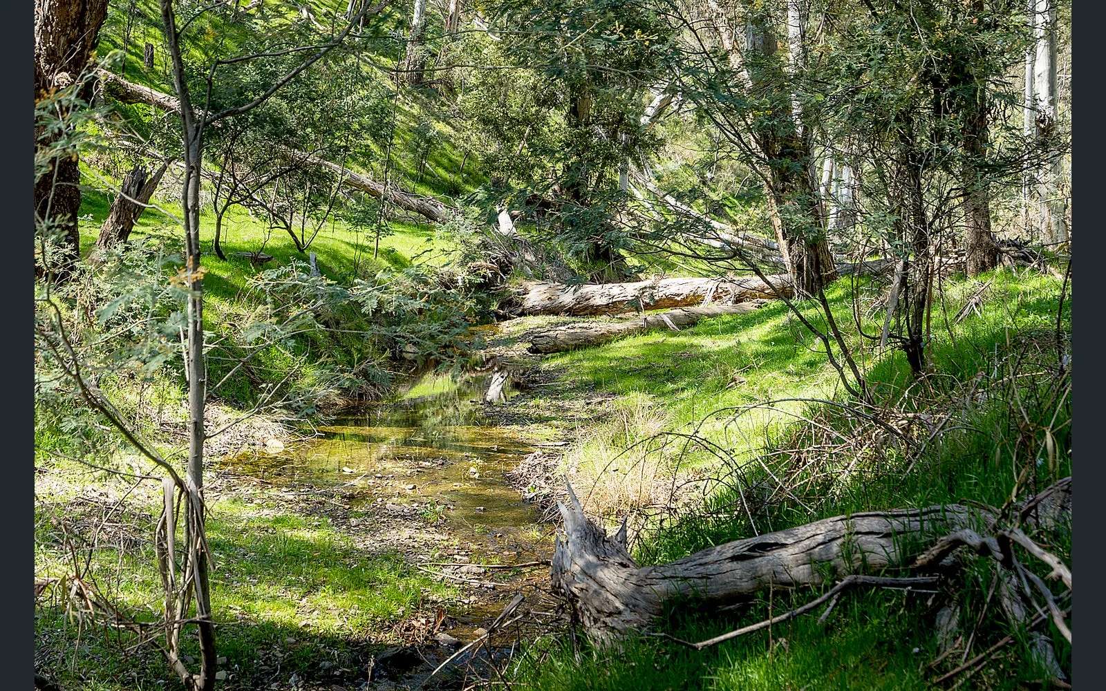 Additional image 6 of 21 Doyle Street, Reedy Creek VIC 3658