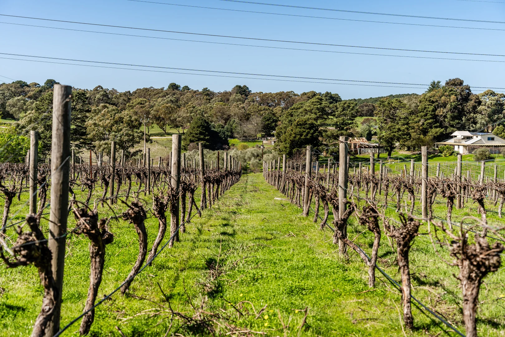 Additional image 18 of 144 Murray Road, Paracombe SA 5132