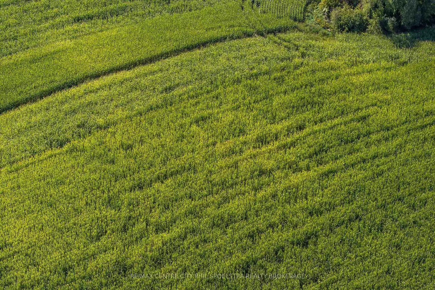 Additional image 9 of 13992 Kennedy Road