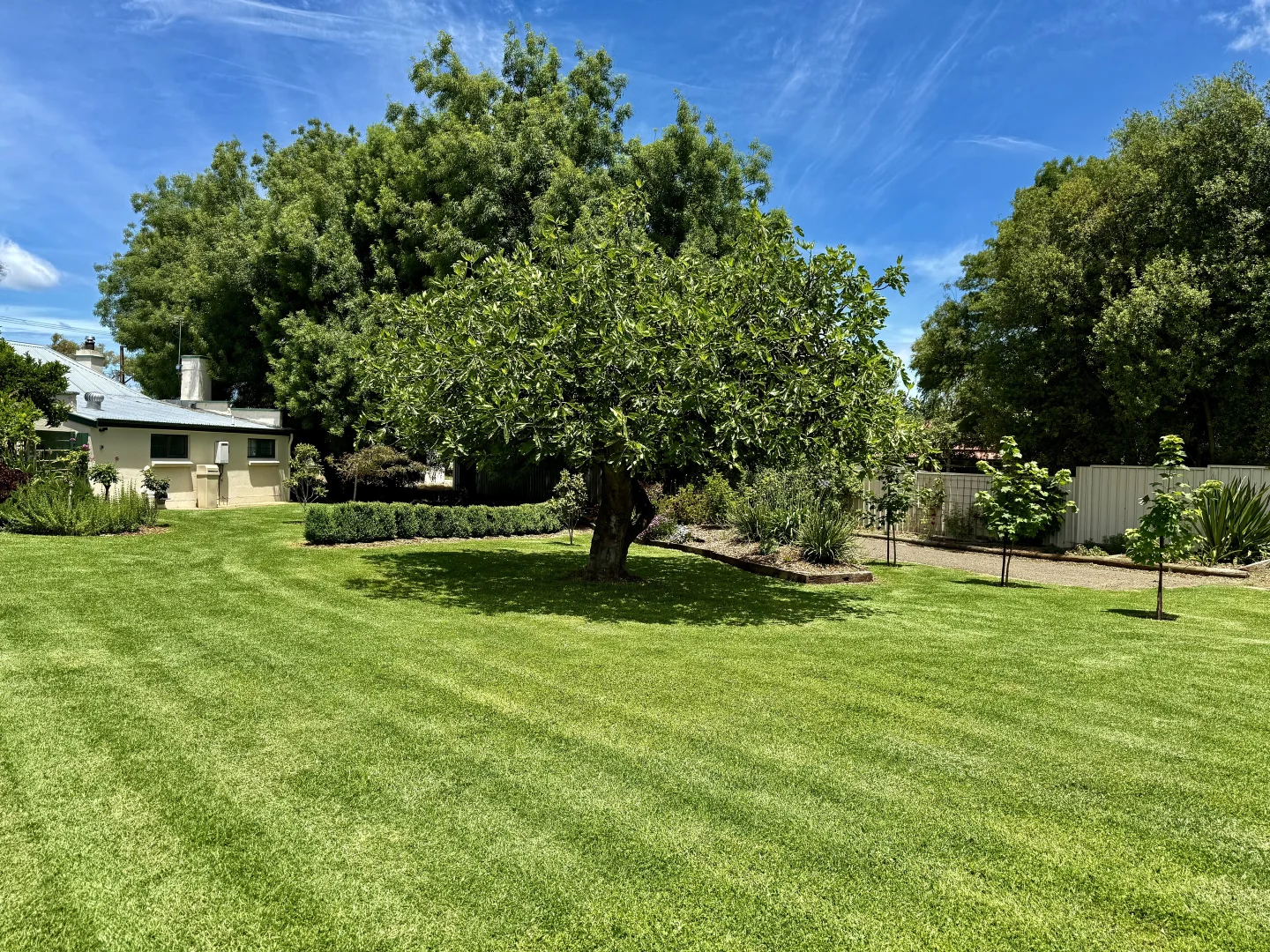 Additional image 17 of 1 Riddoch, Penola SA 5277