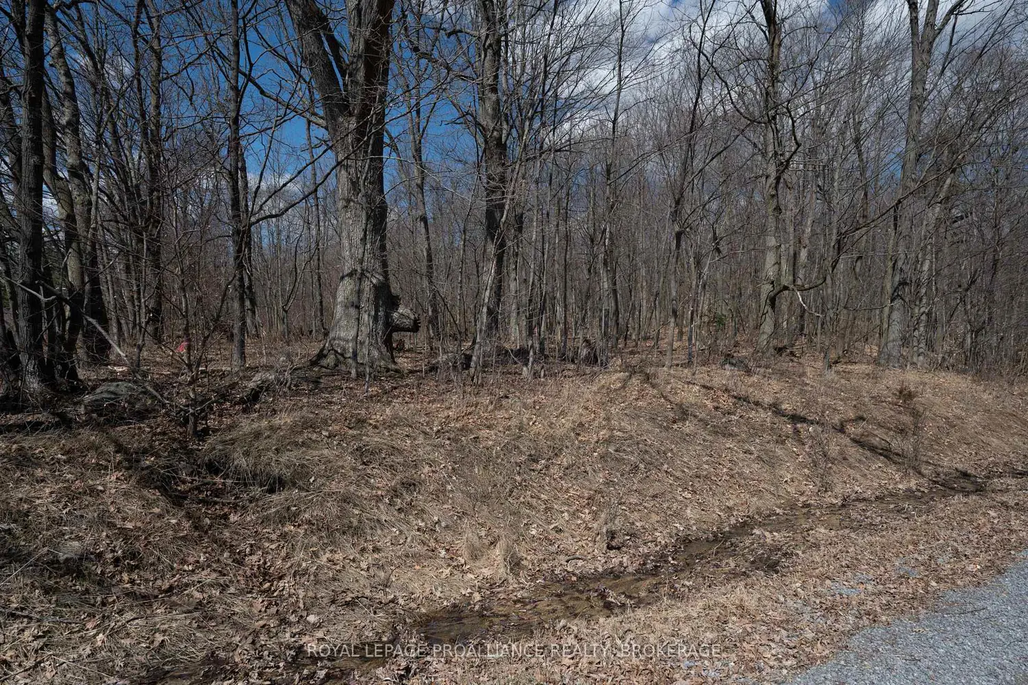 Additional image 14 of Lot 3 Baseline Road