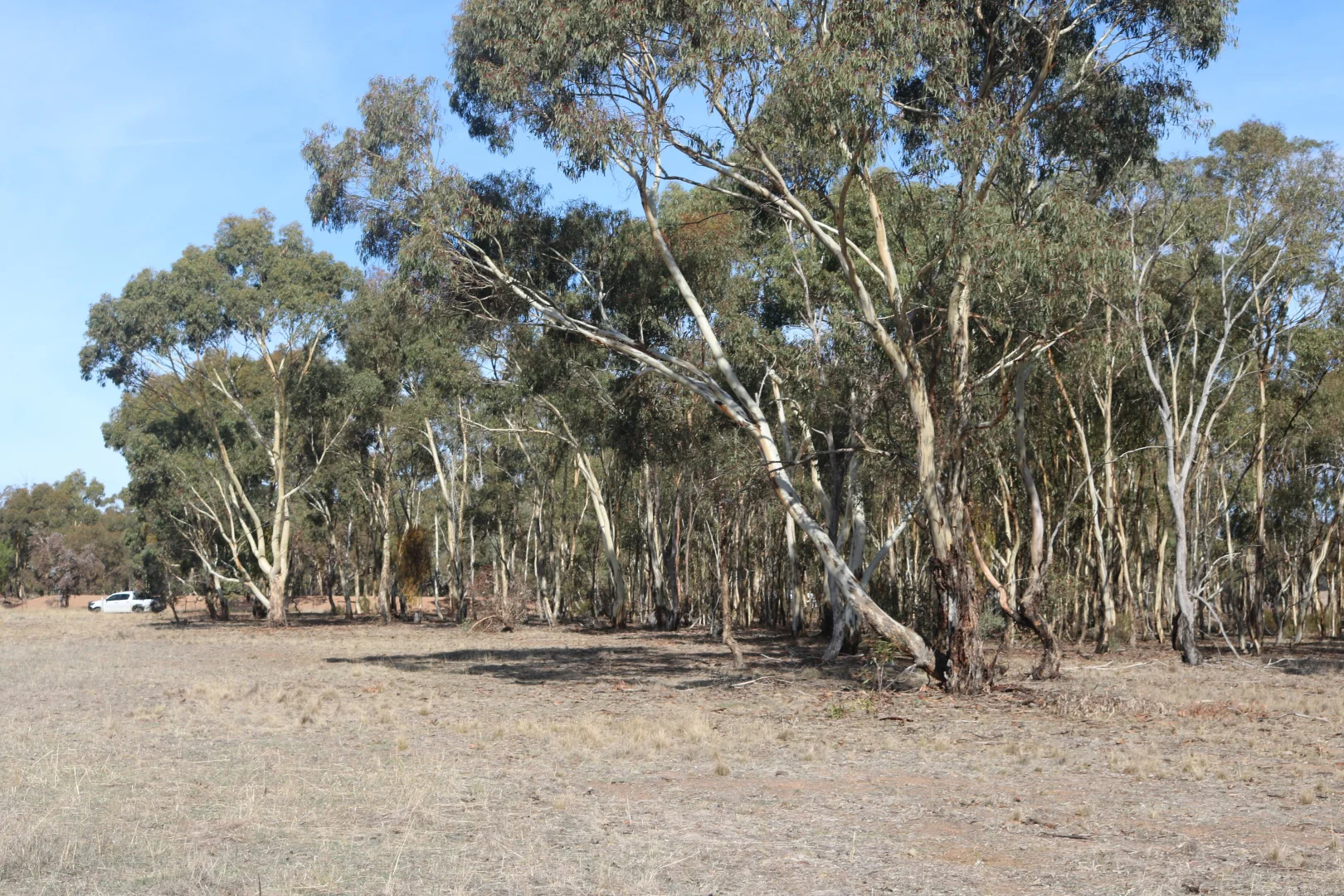 Additional image 21 of Old Boort Road, Wedderburn VIC 3518