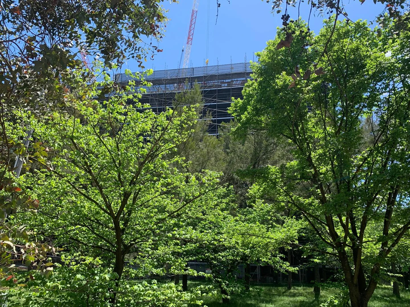 Additional image 19 of 14 Ibbott Lane, Belconnen ACT 2617