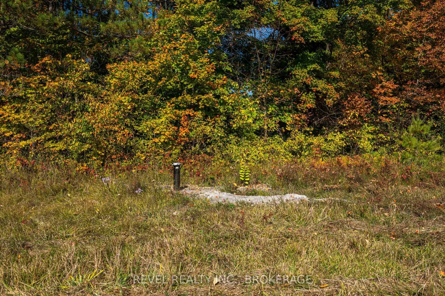 Additional image 5 of 111 Buck Bay Road