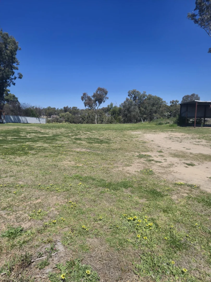 Additional image 5 of 71 Hope Street, Warialda NSW 2402