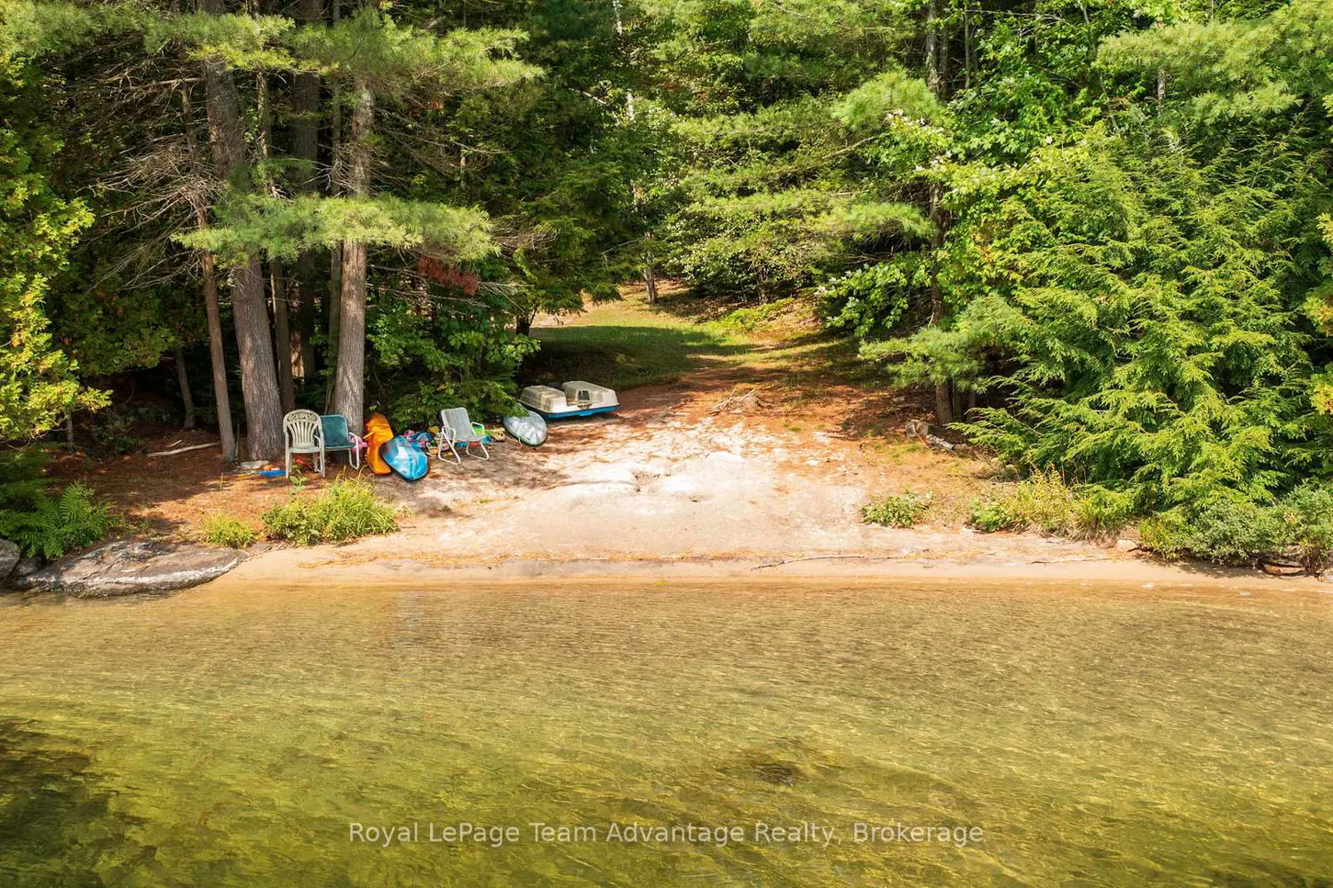 Additional image 5 of 11 Veronica Gene Lane