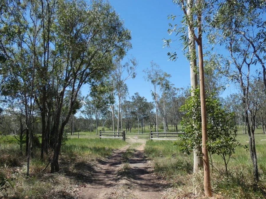 Additional image 19 of 158 Taunton Road, Euleilah QLD 4674