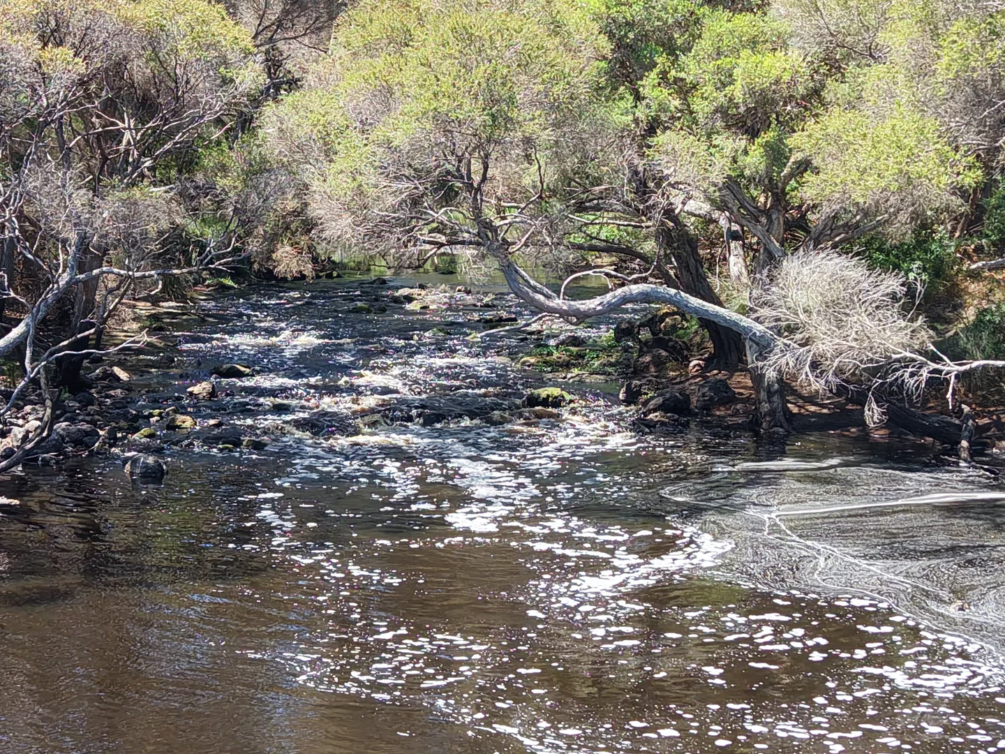 Additional image 15 of Lot 1 Coostien Road, Scott River WA 6288