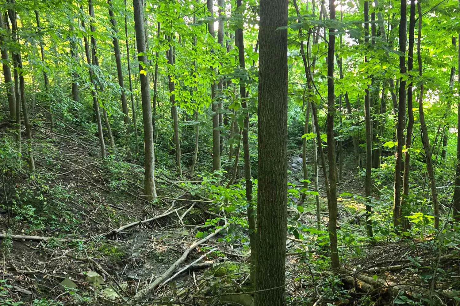 Additional image 2 of 130 Old Highway 26 Highway