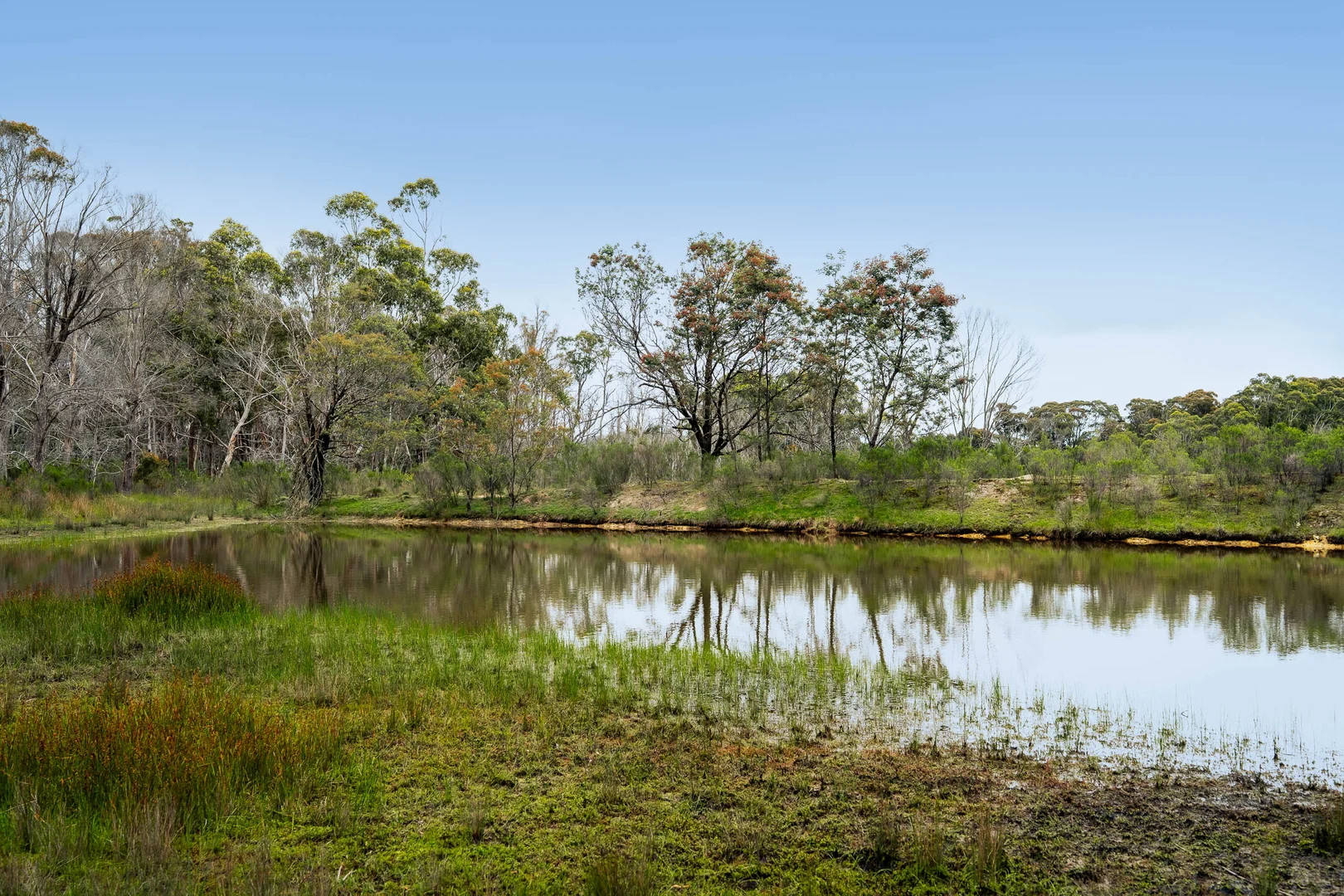 Additional image 7 of 153 Wiarborough Road, Wiarborough via, Taralga NSW 2580