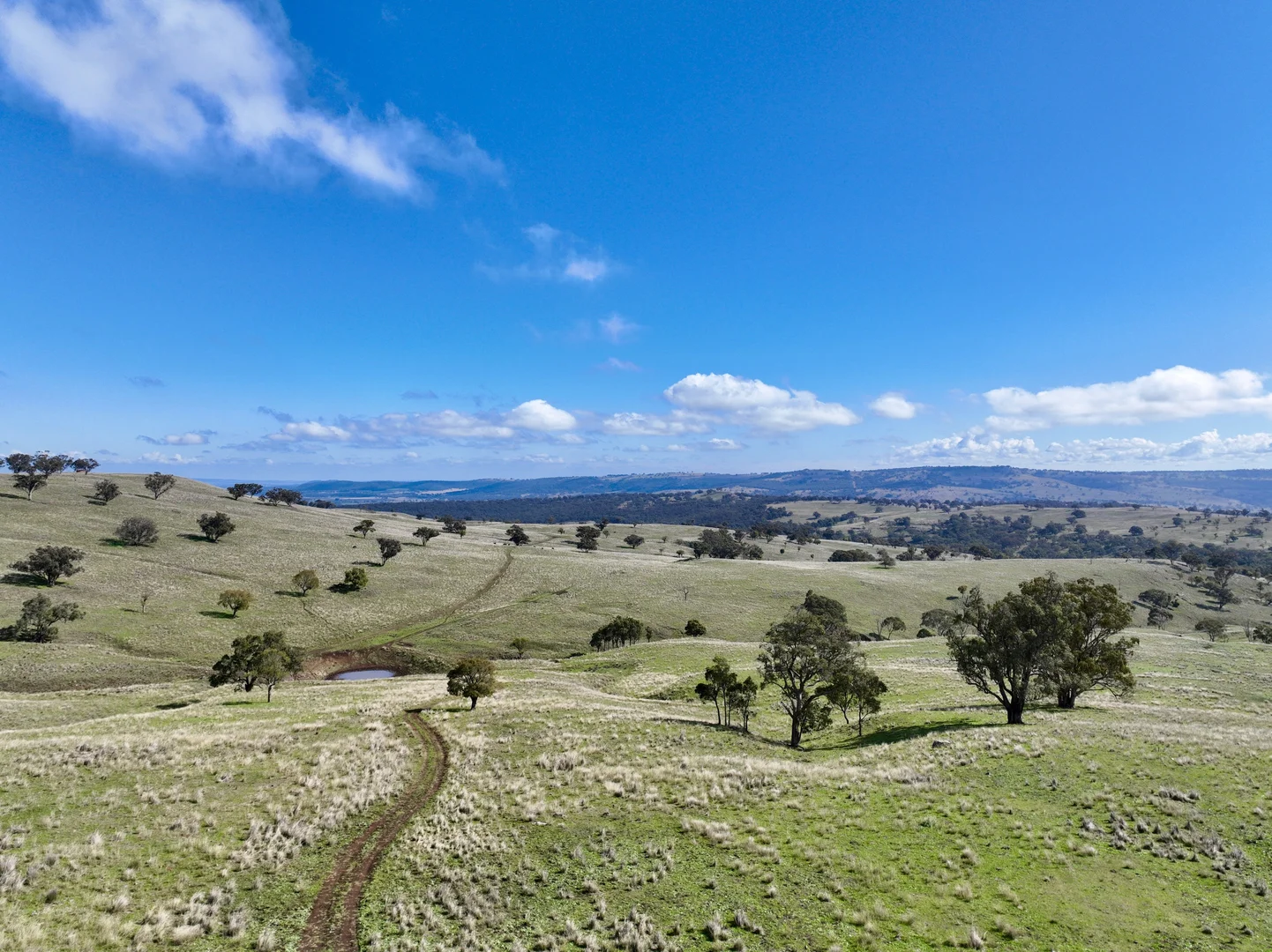 Additional image 14 of "Jemalong" 263 Collier Road, Coolah NSW 2843