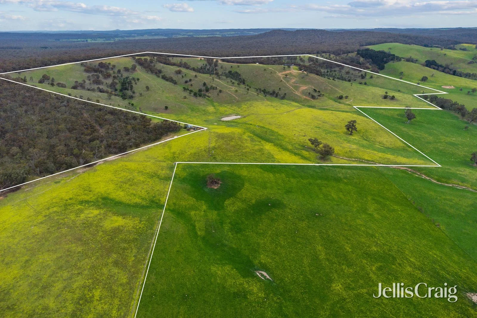 Additional image 23 of Lot 8 Ben Major Track, Mount Lonarch VIC 3468