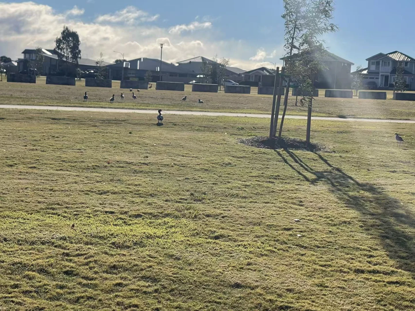 Additional image 10 of Lot 8/215 Macarthur Rd, Spring Farm NSW 2570