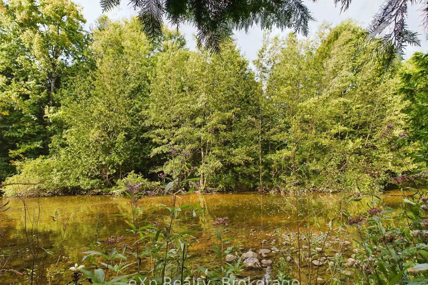 Additional image 4 of 502265 Concession 10 Ndr Concession