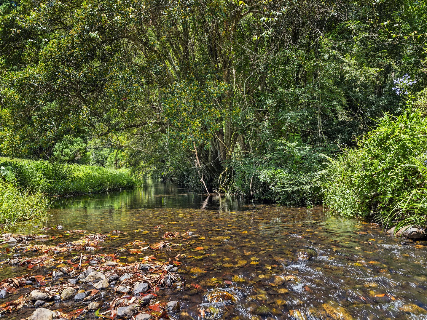 Additional image 30 of 650 Darkwood Road, Thora NSW 2454