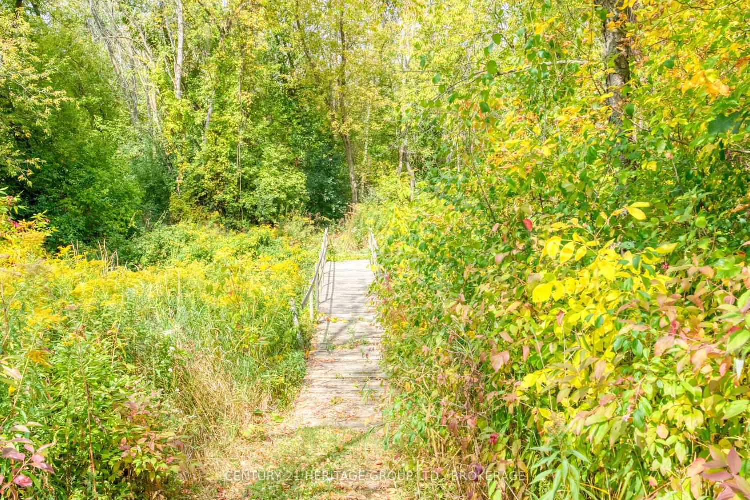 Additional image 12 of 6913 County 2 Road