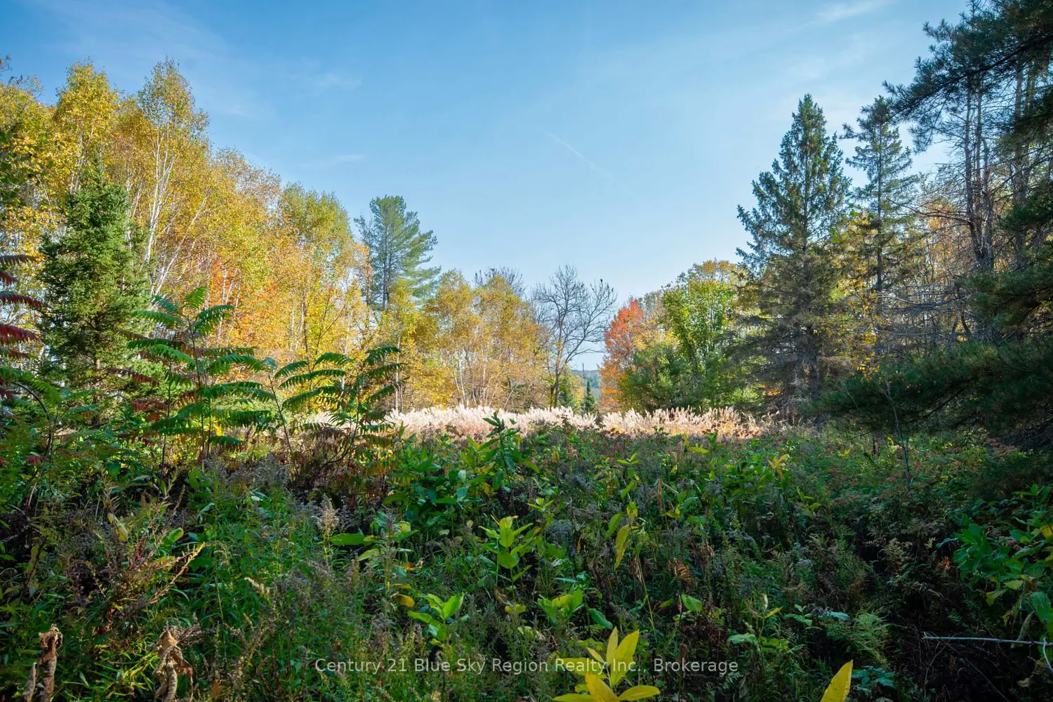 Additional image 7 of 1061 South Shore Road