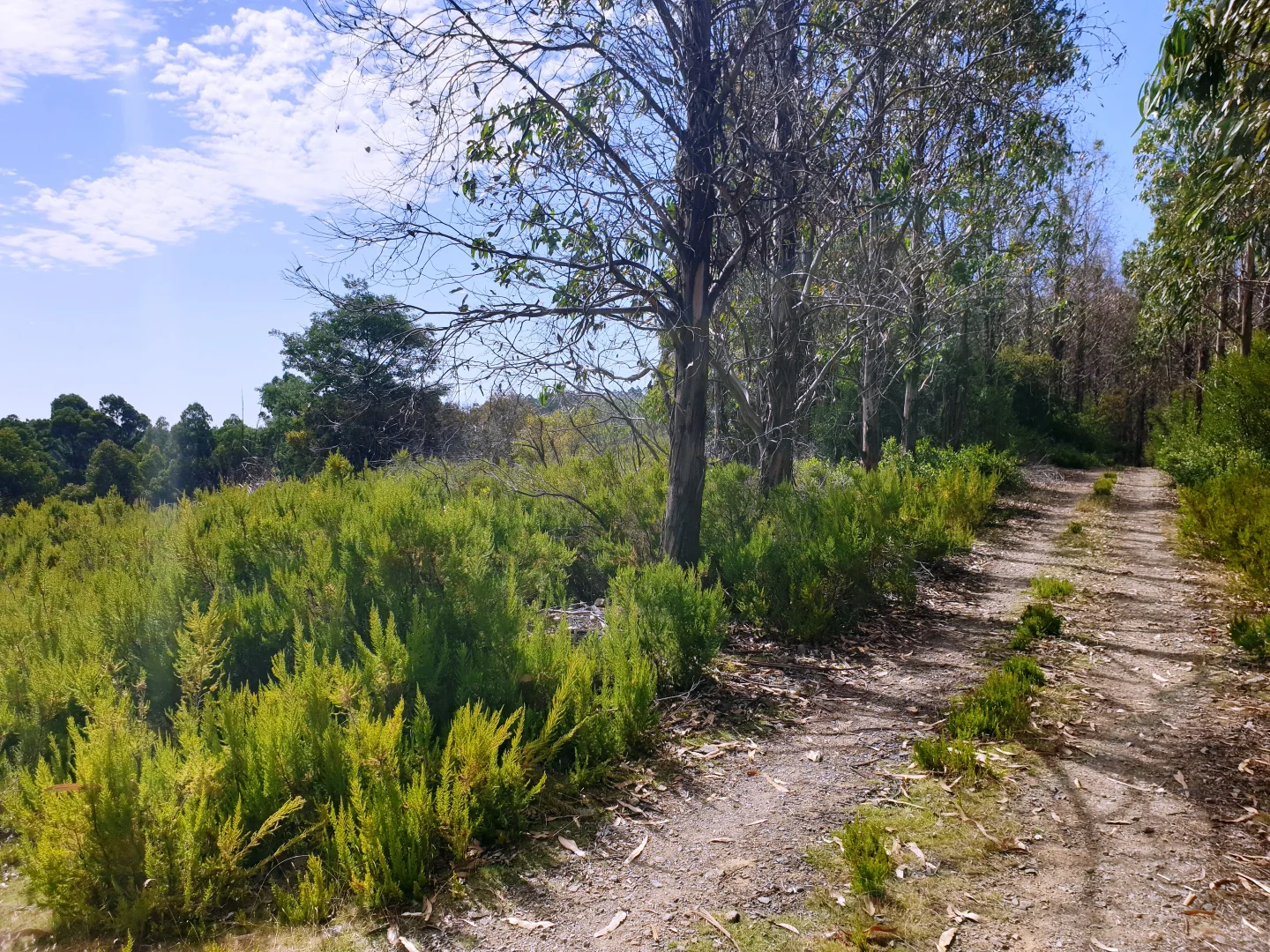 Additional image 3 of Lot 37 Bells Road, Cygnet TAS 7112