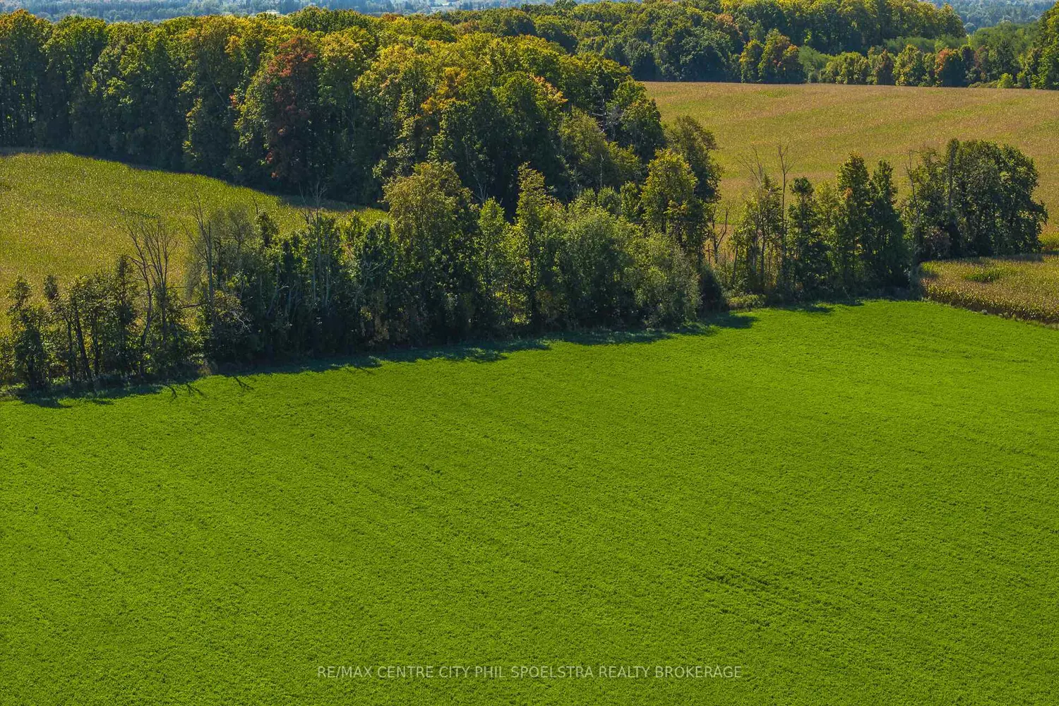 Additional image 10 of 3525 Bloomington Road