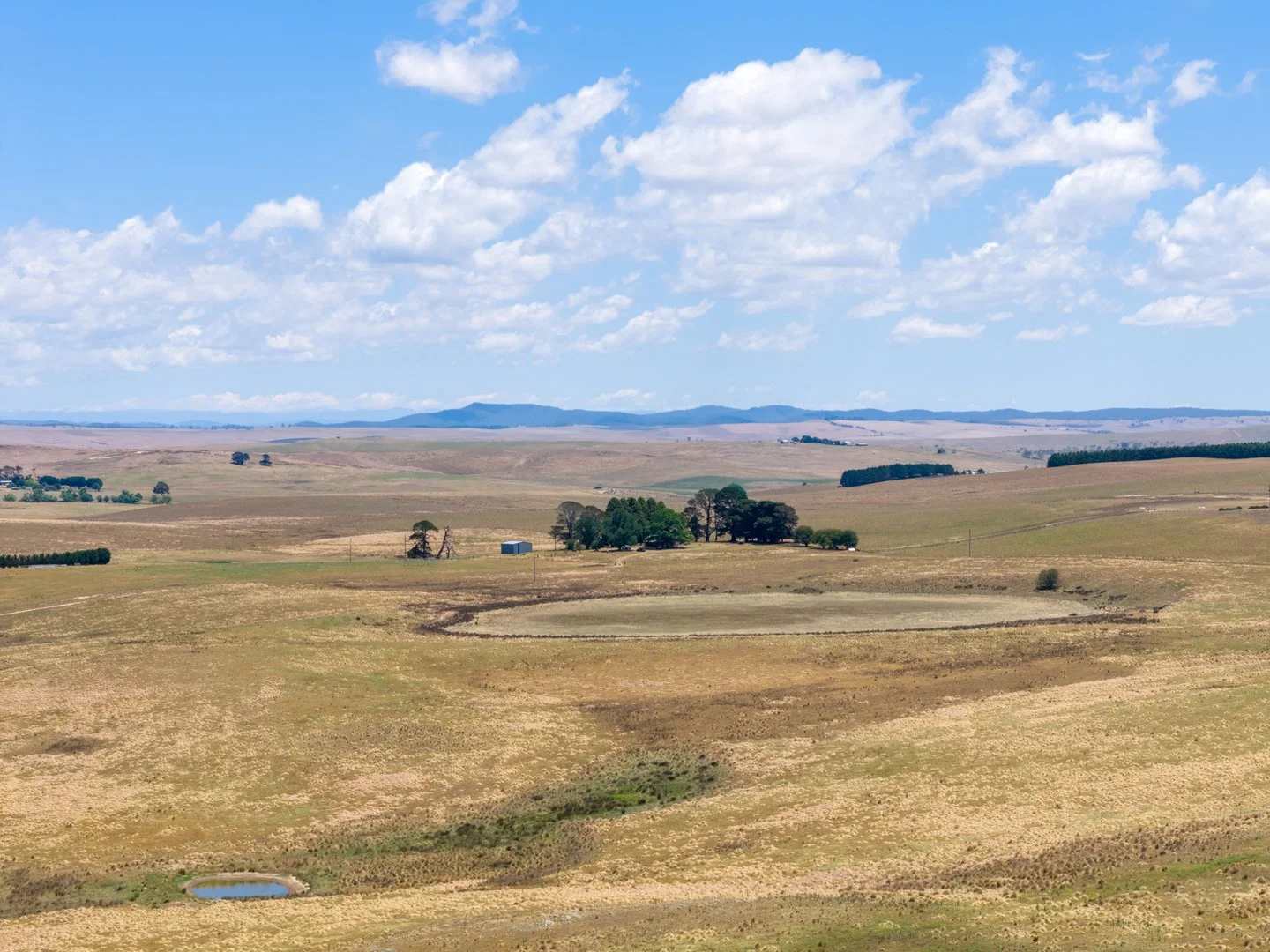 77 Aerodrome Road, Bombala NSW 2632