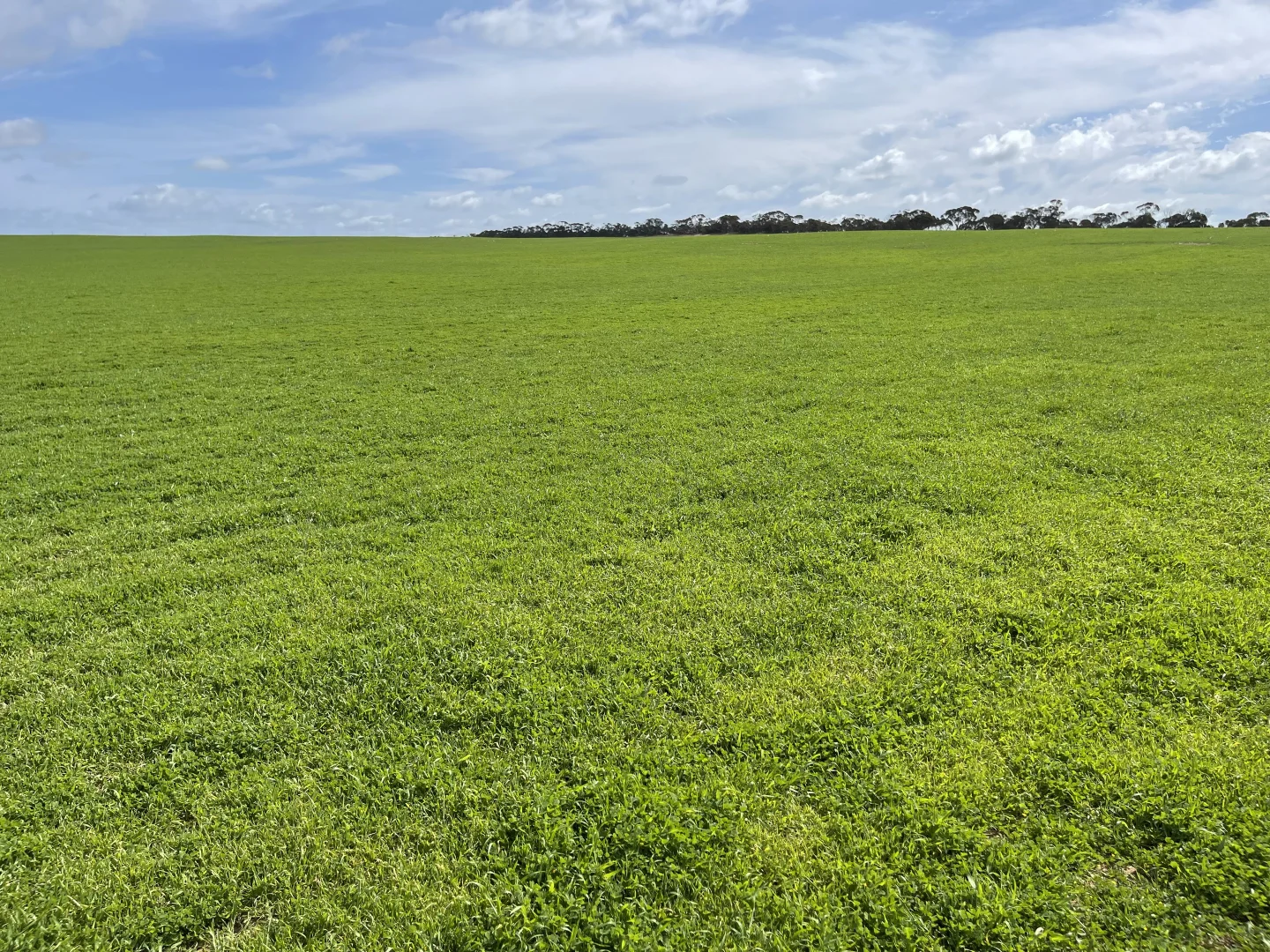 Additional image 6 of Lot/41 Skinner Road, Warramboo SA 5650