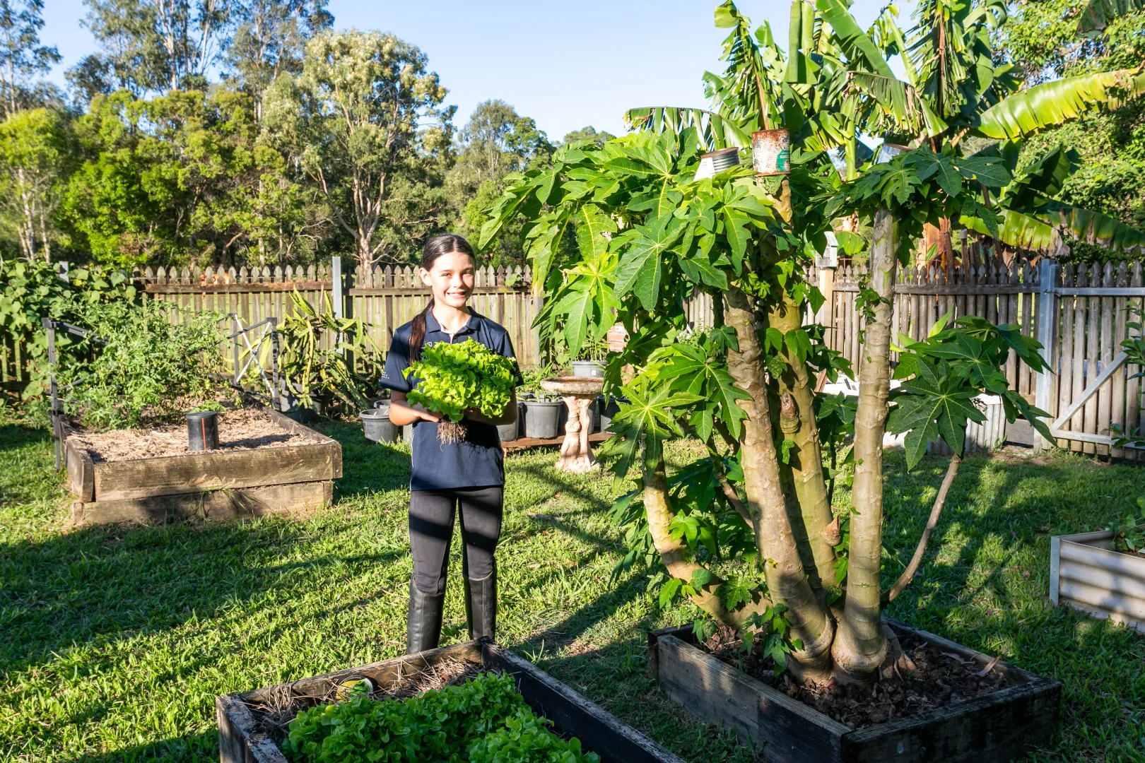 Additional image 26 of 35 Lawnville Road, Cooroy QLD 4563