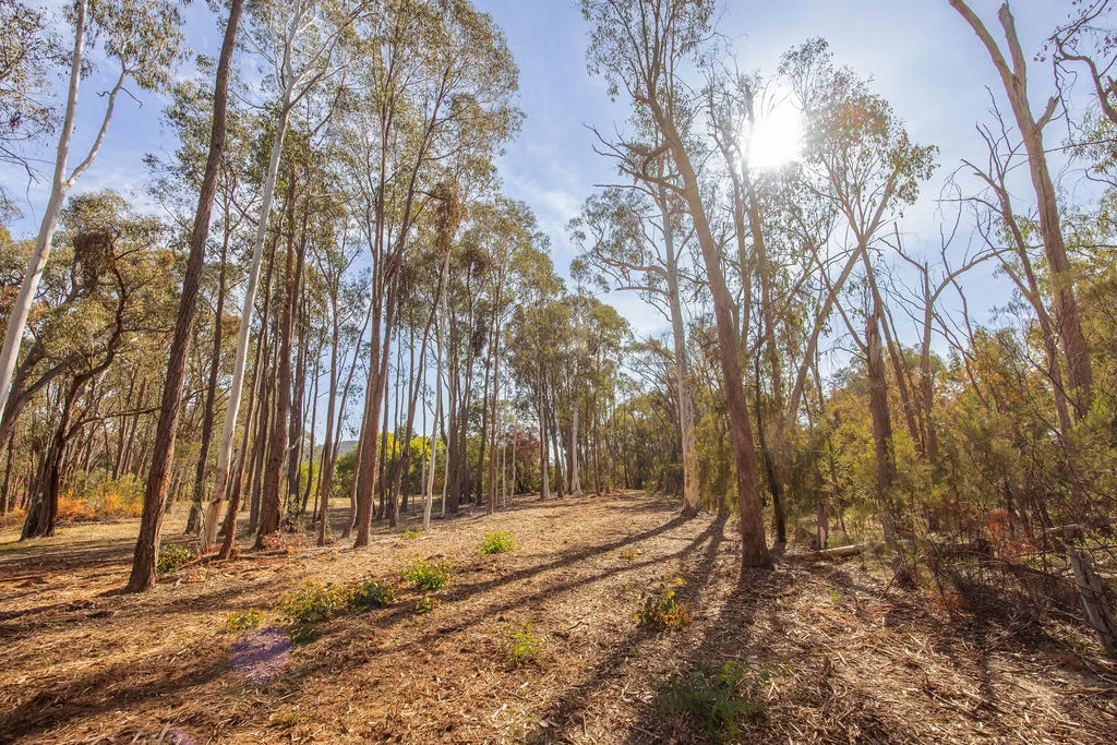 Additional image 32 of 7 Silver Creek Avenue, Yackandandah VIC 3749