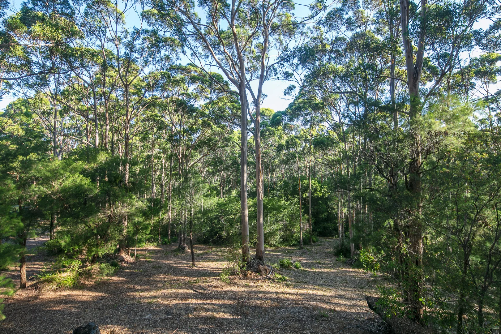 Additional image 22 of 51 Karri Drive, Kentdale WA 6333