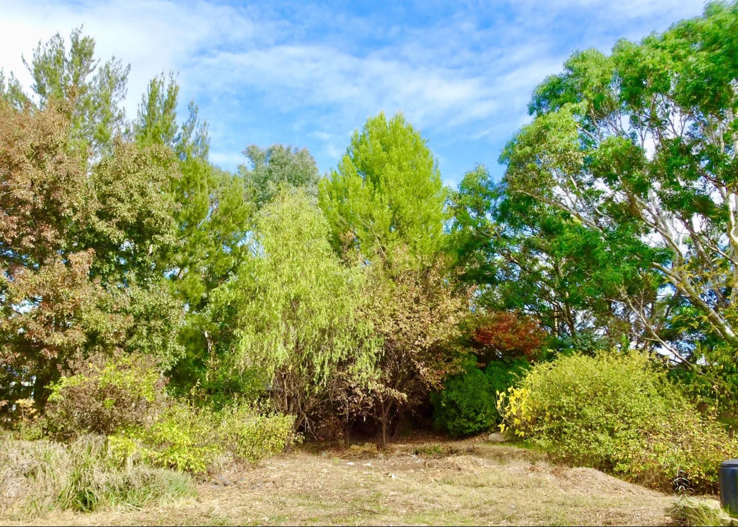 Additional image 23 of 1 Rosamel Street, Gundaroo NSW 2620