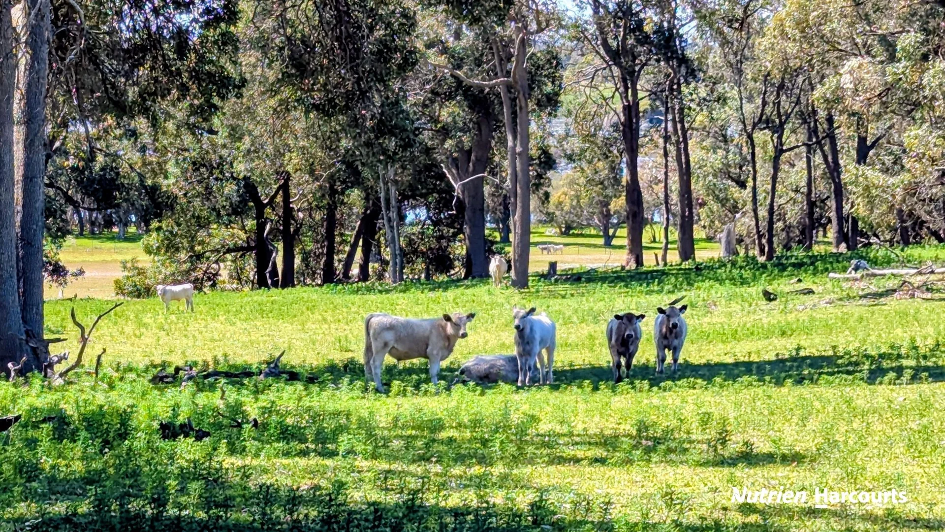 Additional image 25 of Lot 53 Cowalla Road, Cowalla WA 6503