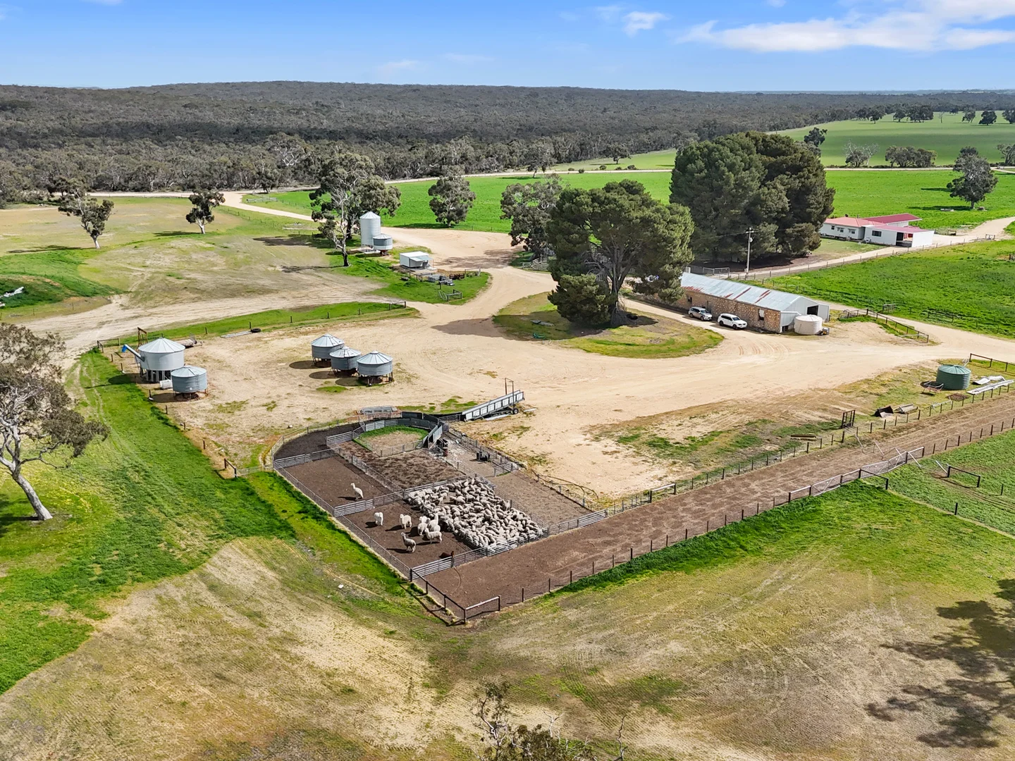 Additional image 17 of 559 Old Stone Tank Road, Mundulla SA 5270