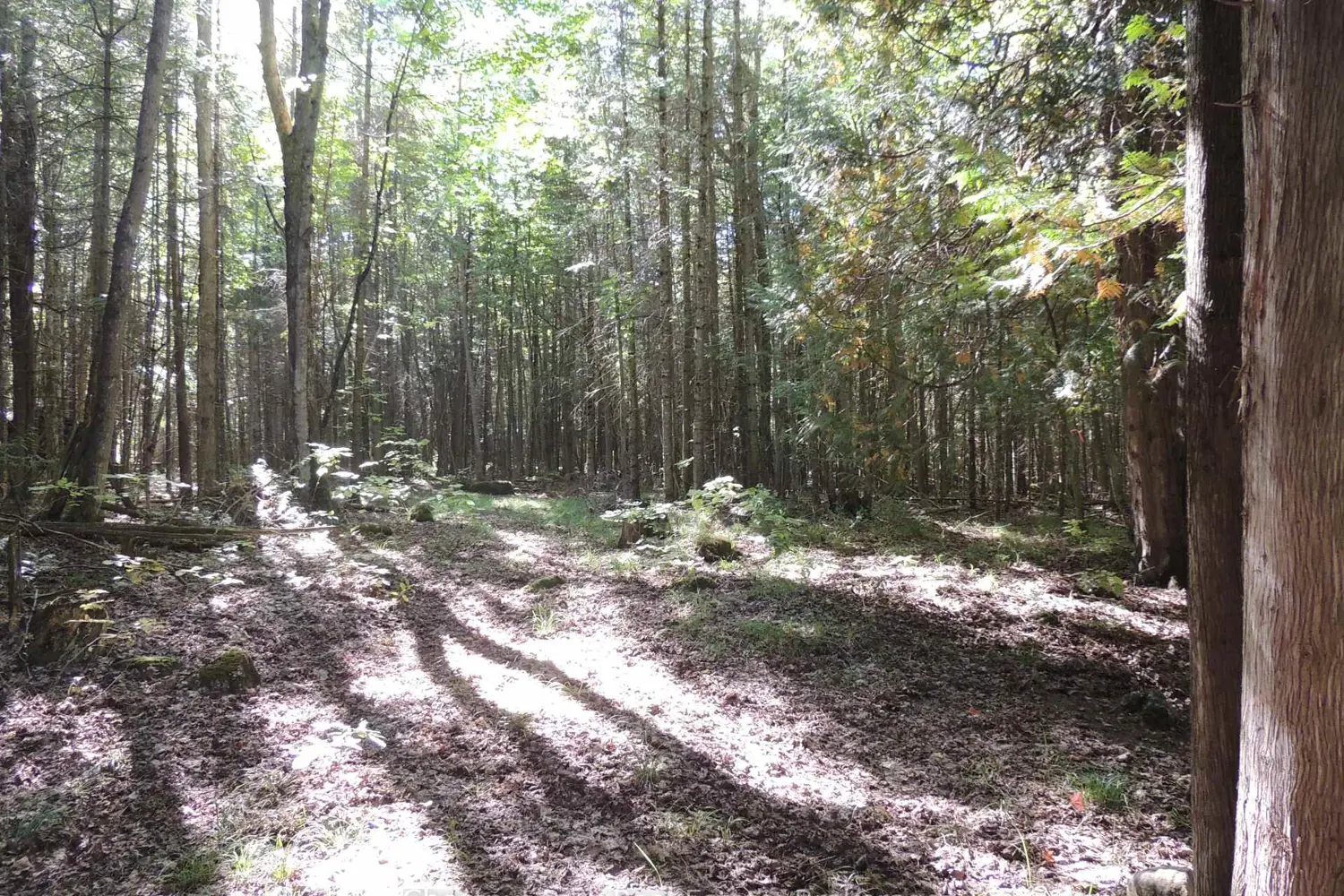 Additional image 3 of 596244 Concession 10