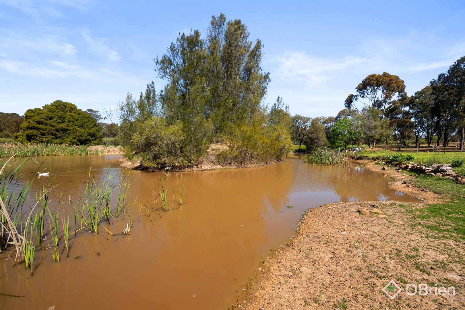 Additional image 32 of 111 Everitt Road, Peechelba VIC 3678