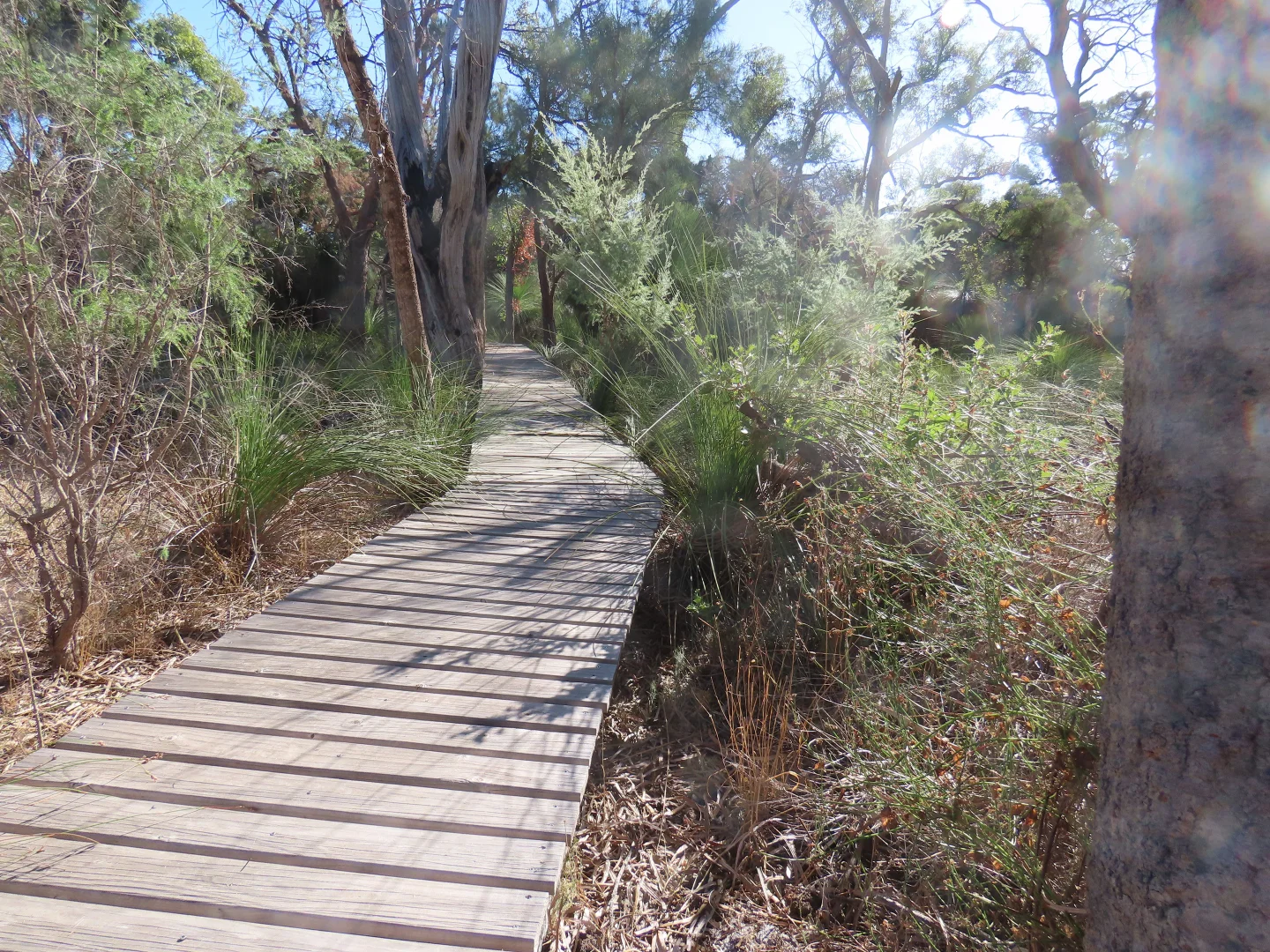 Additional image 12 of West Coolup WA 6214