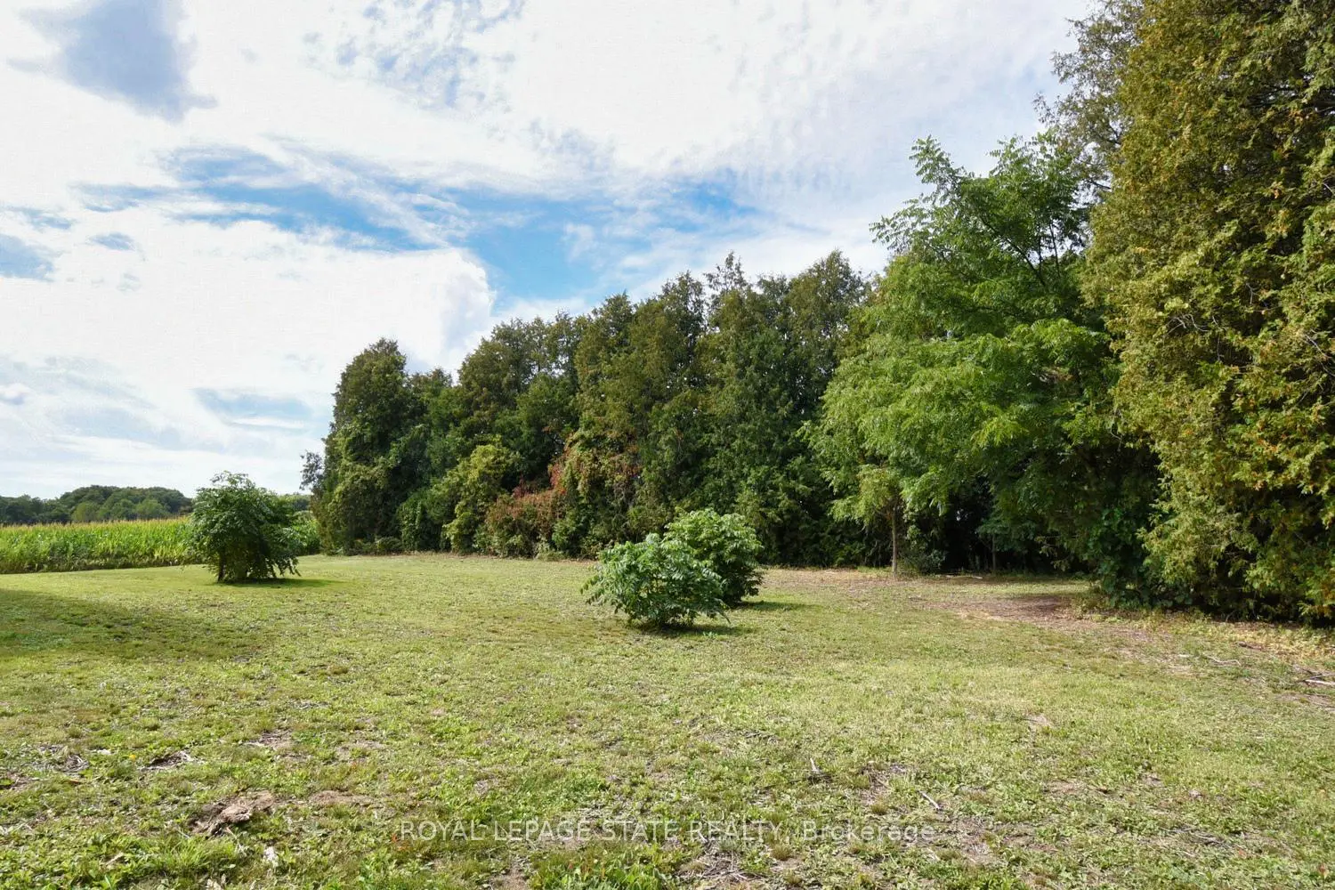 Additional image 17 of 8125 Dickenson Road