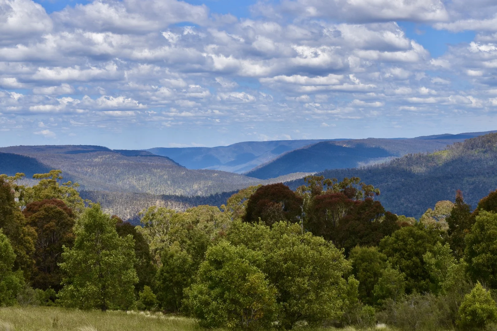 Additional image 3 of 363 Sheepstation Forest Road, Gingkin NSW 2787