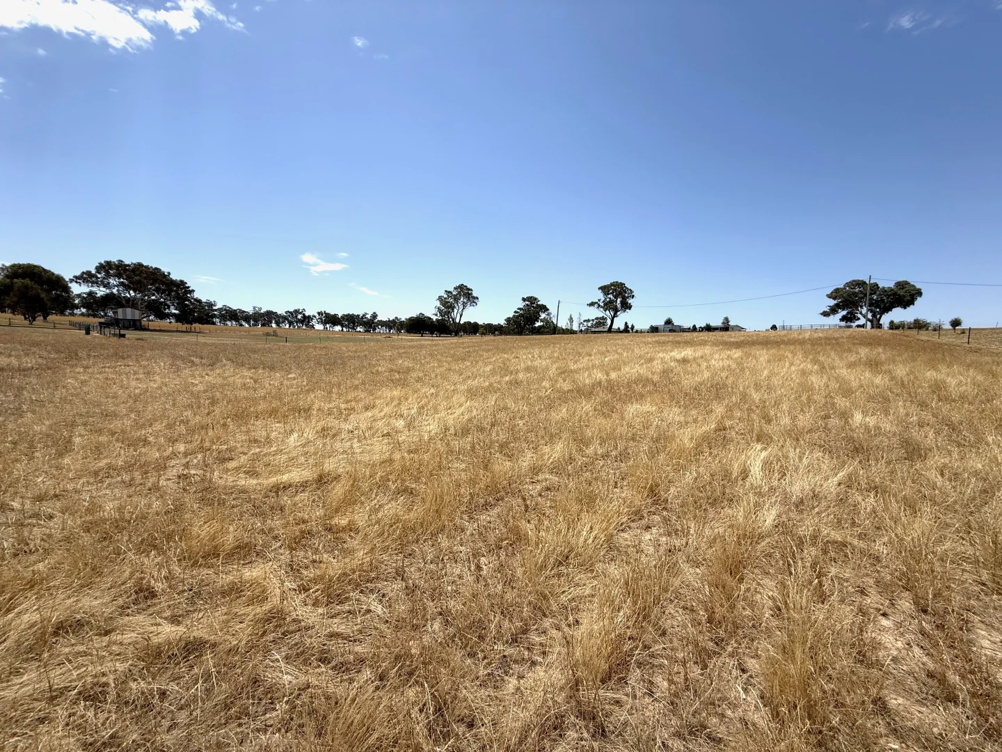 Additional image 3 of 1301 Belowra Road, Murringo Via, Young NSW 2594