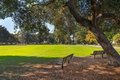 Additional image 57 of 10 9th Ave Apt 107, San Mateo, CA, 94401