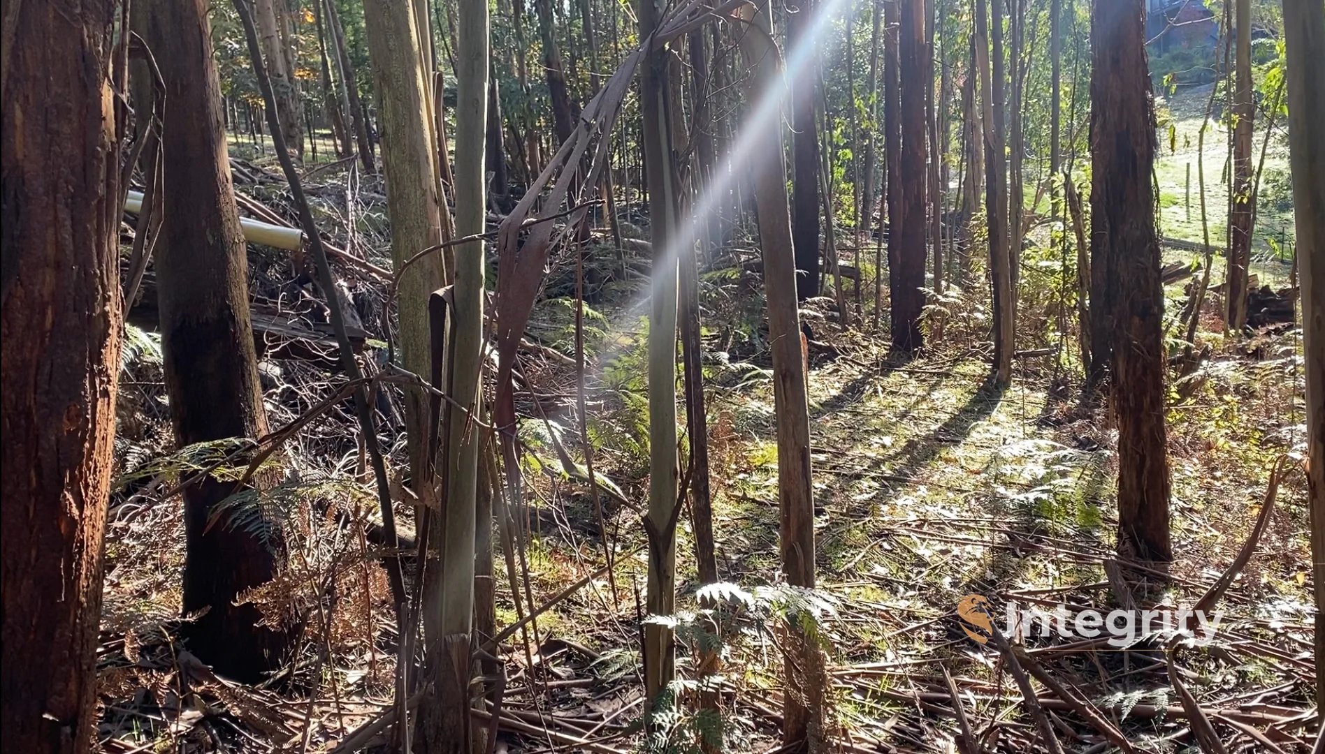 Additional image 7 of 47 Bald Spur Road, Kinglake VIC 3763