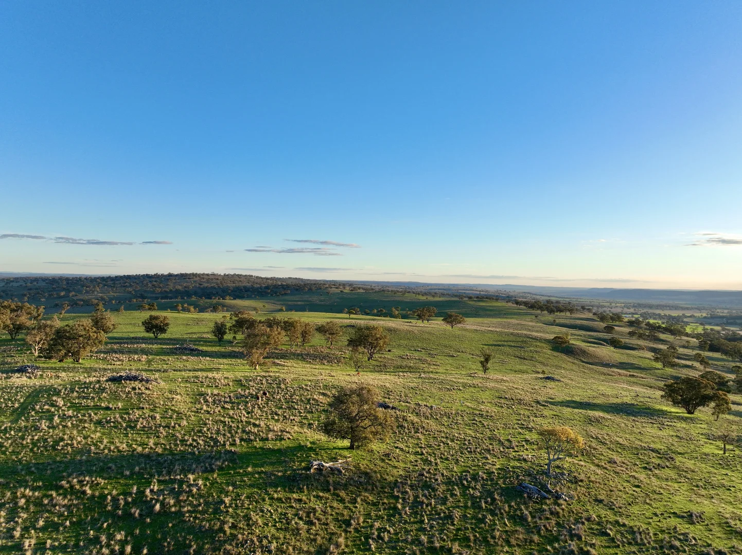 Additional image 13 of "Jemalong" 263 Collier Road, Coolah NSW 2843