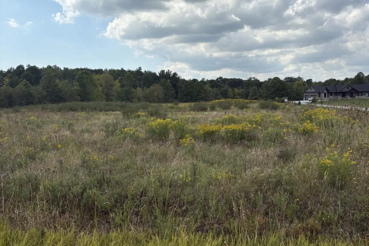 Additional image 2 of N/A Green Road