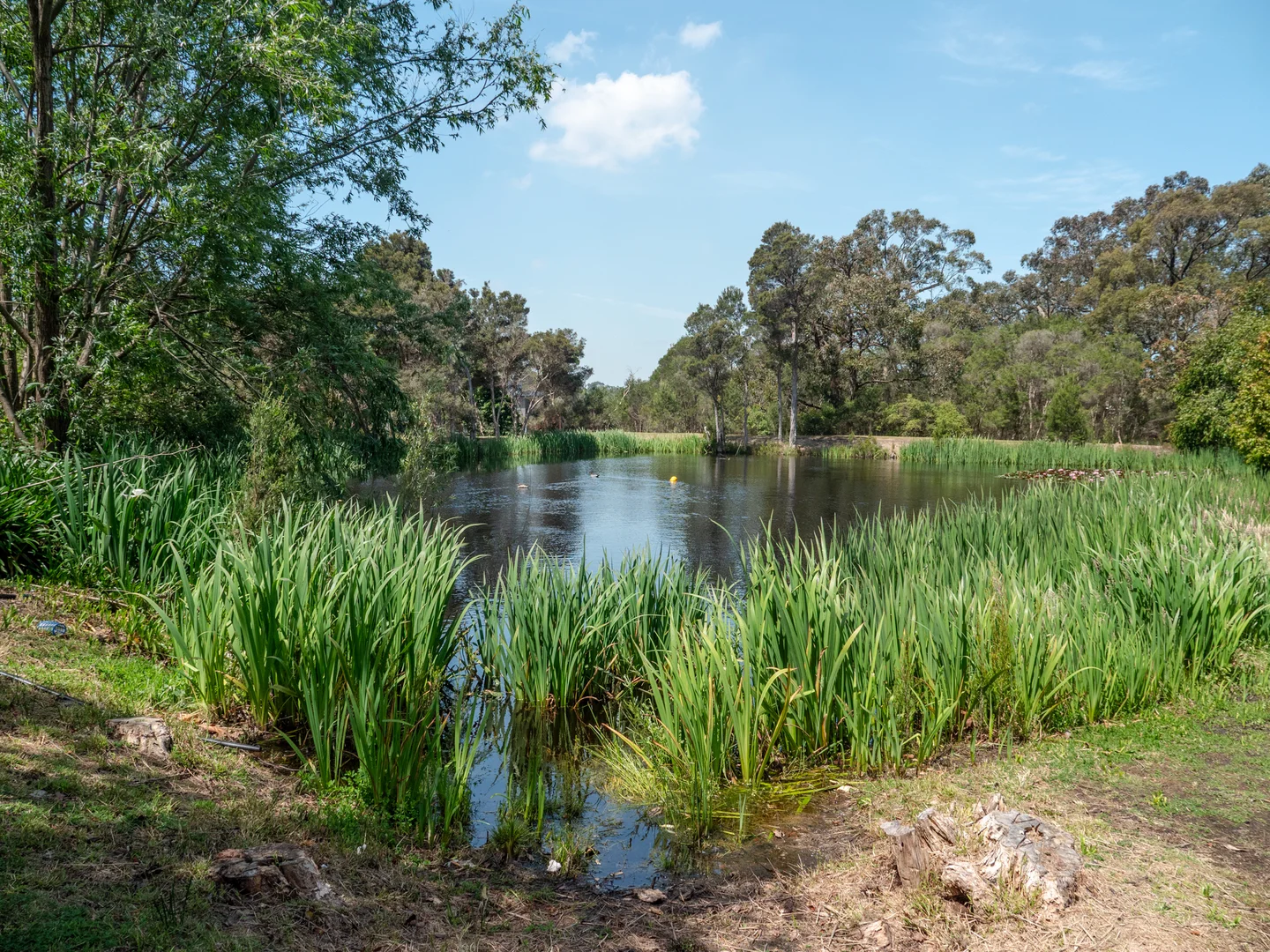 Additional image 27 of 60 Desmond Road, Wattle Bank VIC 3995