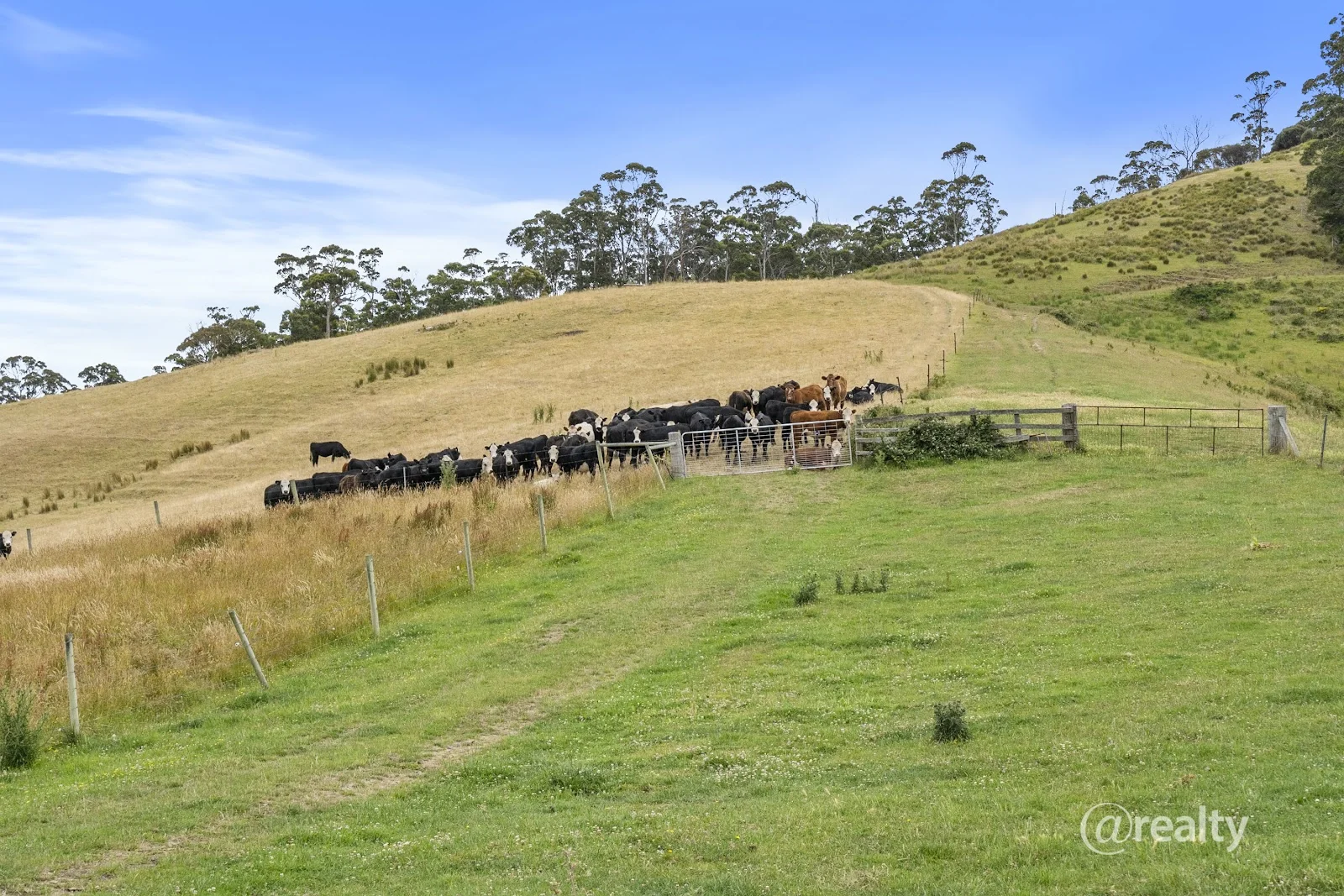 Additional image 42 of 100A Nichols Road, Nubeena TAS 7184