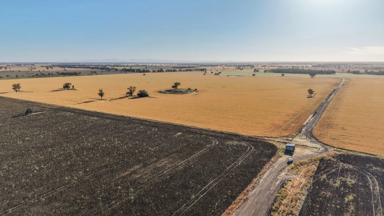 Additional image 6 of 128 Berida-Bullagreen Road, Collie NSW 2827