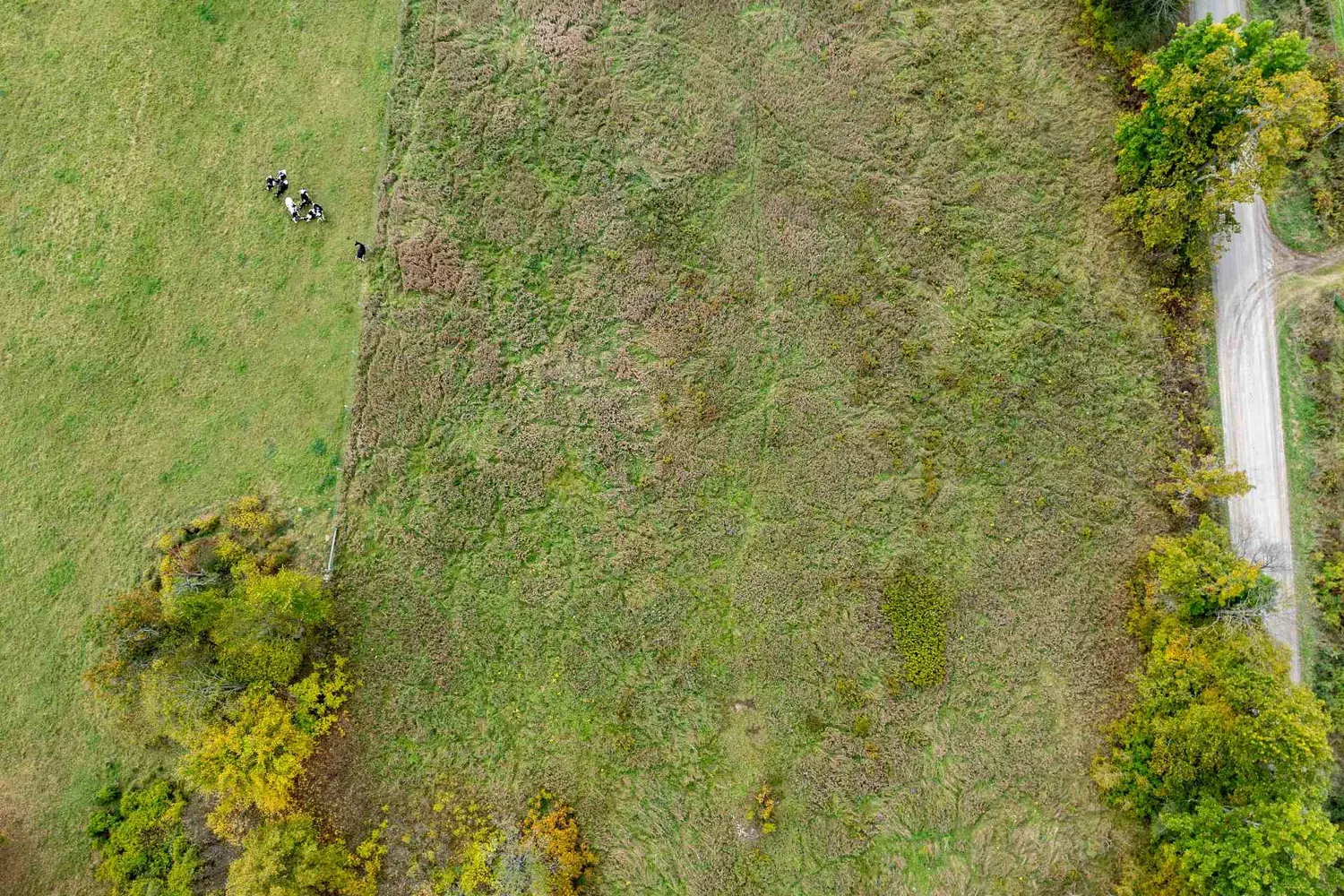 Additional image 14 of Pt 4 Mcandrews Road