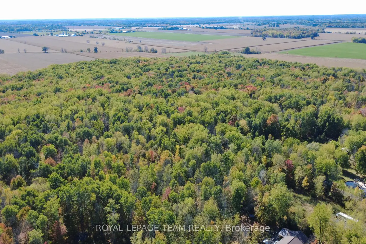 Additional image 15 of 10586 Seibert Road